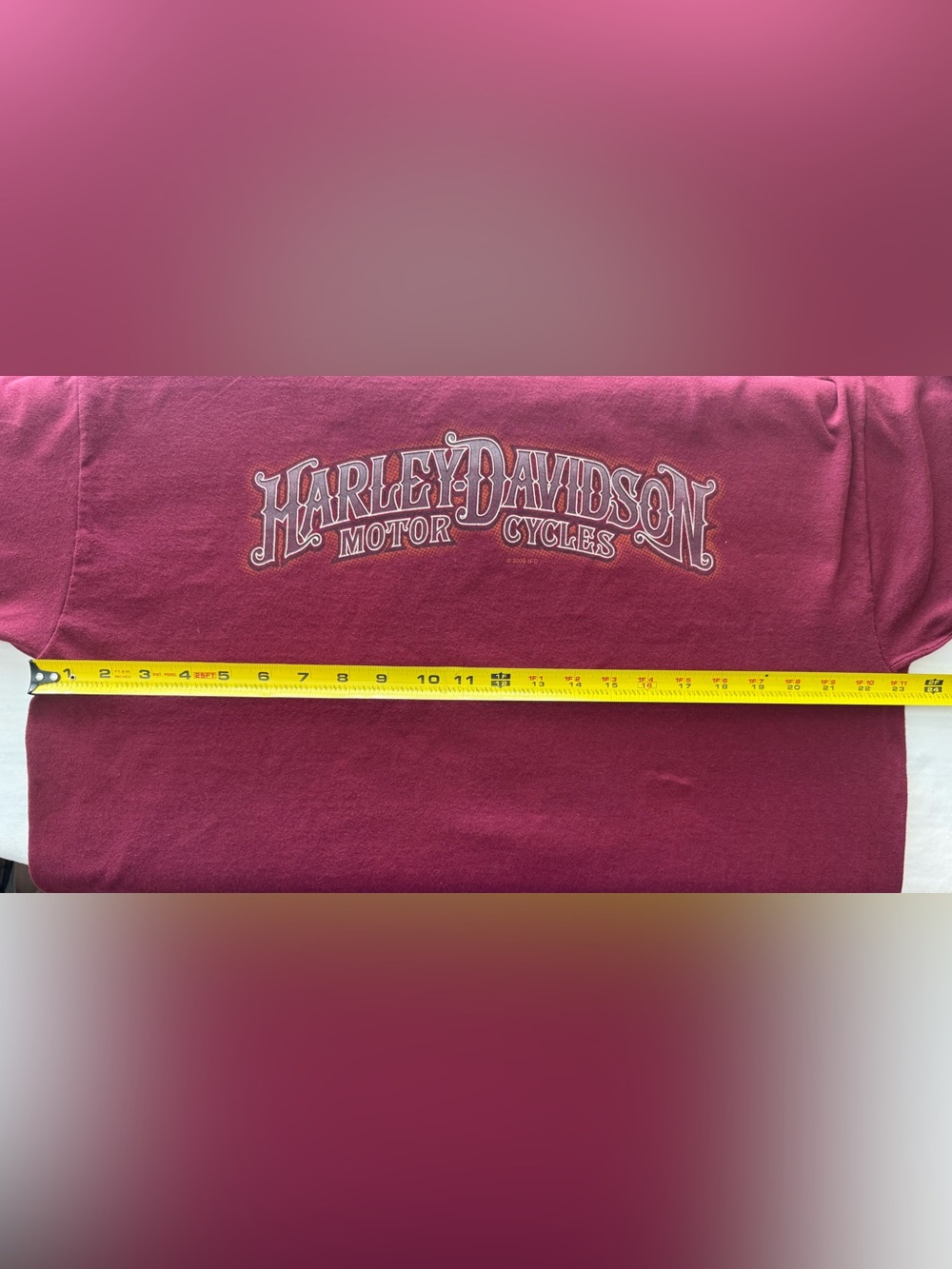 Harley-Davidson Tee Lynchburg Virginia Graphic Short Sleeve XL Burgundy USA 2009 - Picture 10 of 15